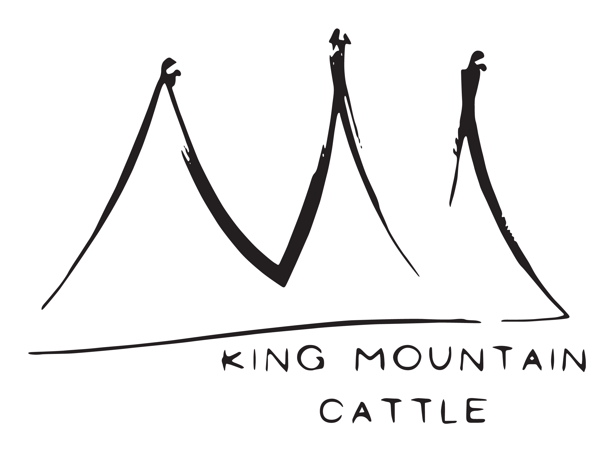 King Mountain Cattle