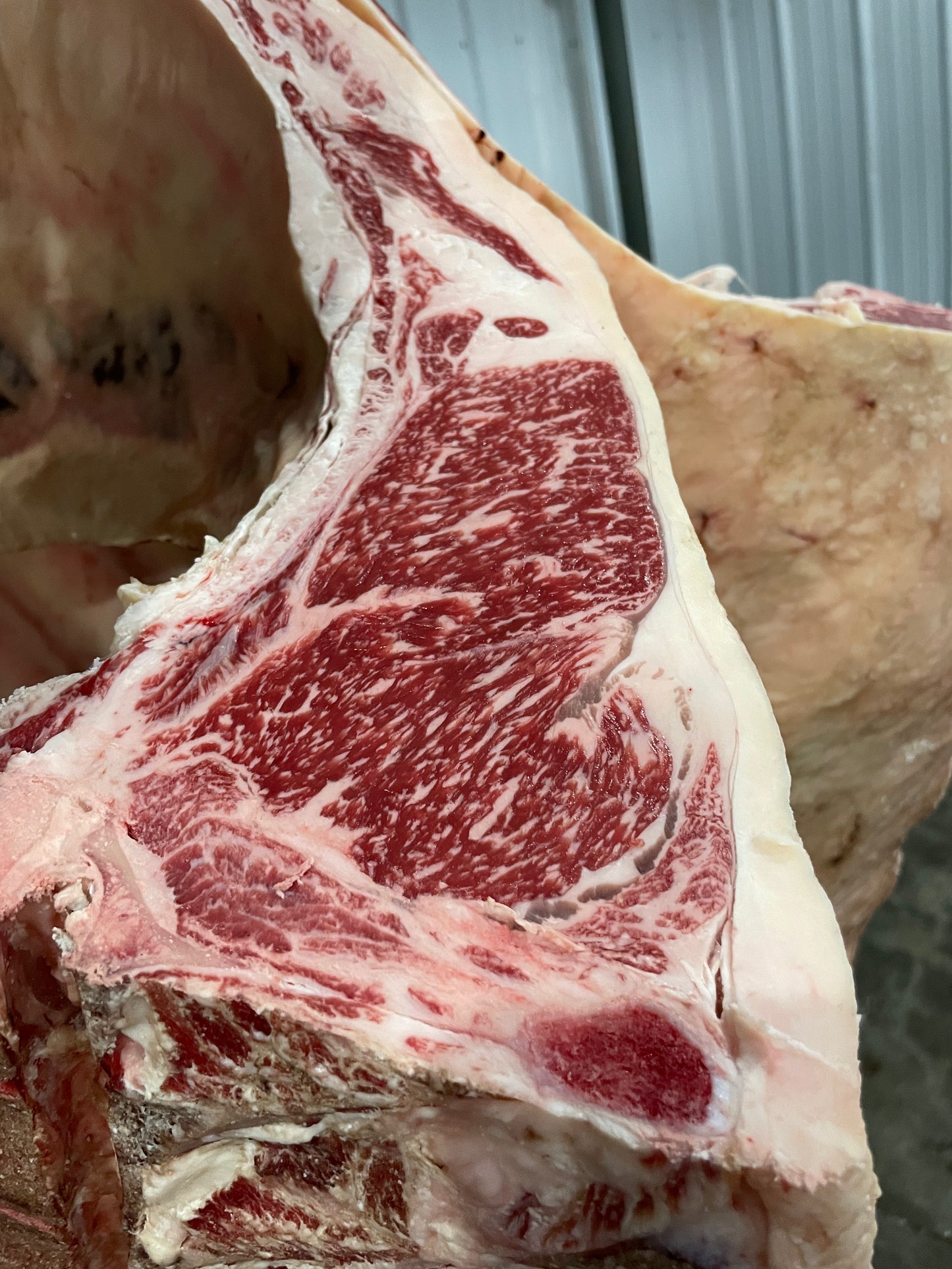 1/2 Beef